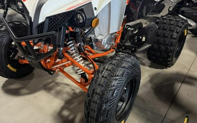 2026 Kayo Storm 300 EFI
