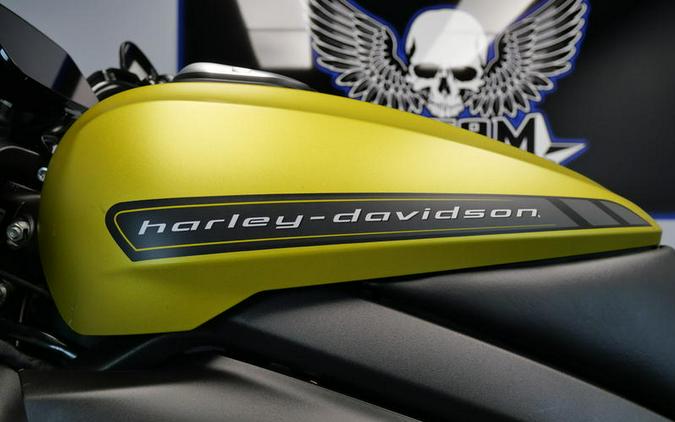 2020 Harley-Davidson® ELW - LiveWire™