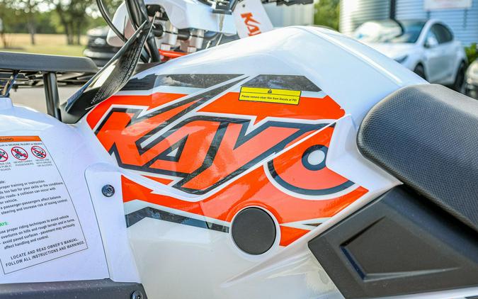 2025 KAYO BULL 300 EFI