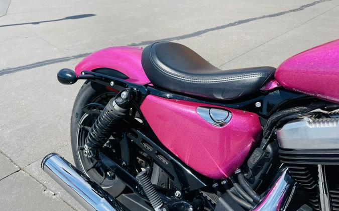 2018 Harley-Davidson Forty-EighT 115th Anniv. Edition W/ Custom "Pinky" Paint XL1200X ANV