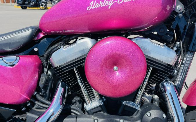 2018 Harley-Davidson Forty-EighT 115th Anniv. Edition W/ Custom "Pinky" Paint XL1200X ANV