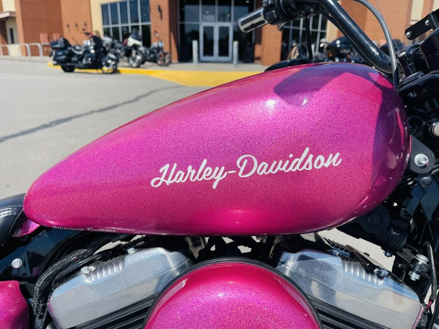 2018 Harley-Davidson Forty-EighT 115th Anniv. Edition W/ Custom "Pinky" Paint XL1200X ANV