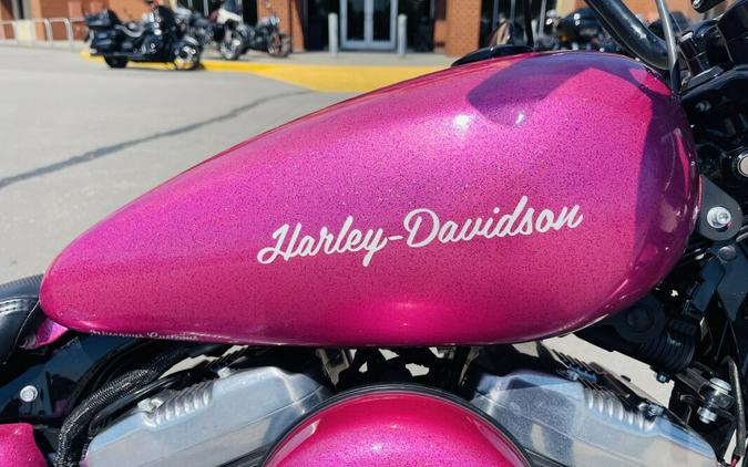 2018 Harley-Davidson Forty-EighT 115th Anniv. Edition W/ Custom "Pinky" Paint XL1200X ANV