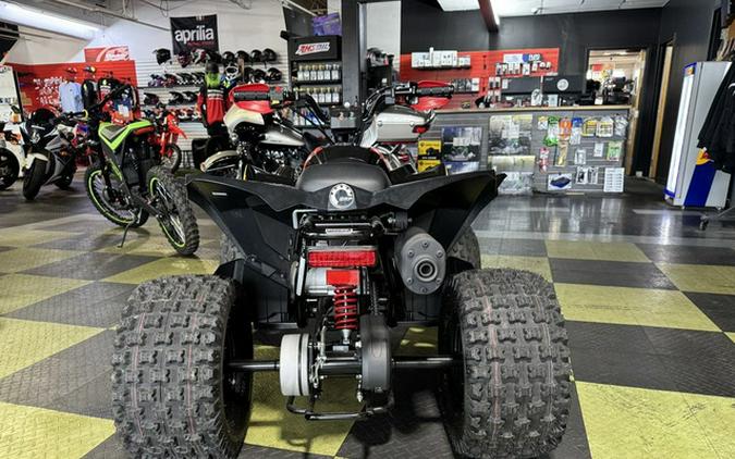 2026 Can-Am Renegade X Xc 110 EFI