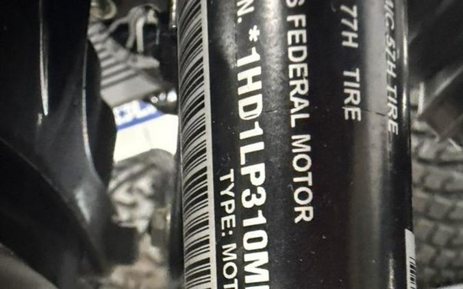 2021 Harley-Davidson® XL1200NS - Iron 1200™