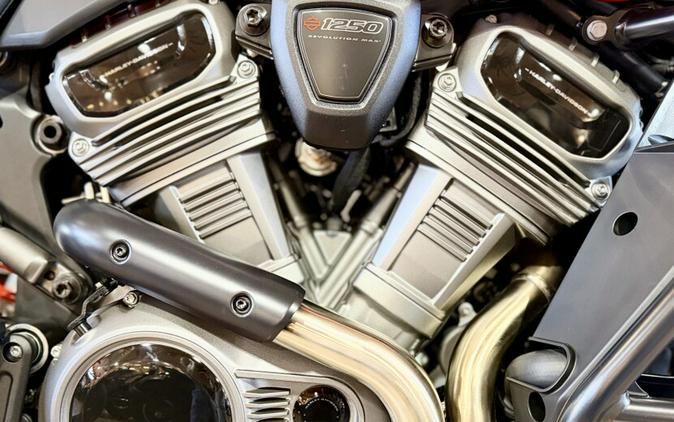 2026 RA1250S - Pan America Special