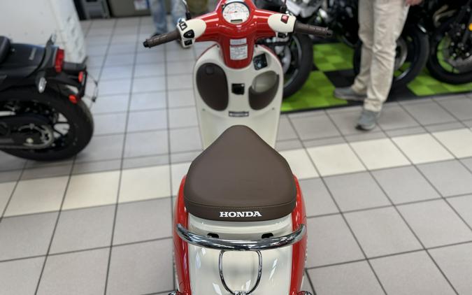 2025 Honda Metropolitan Base