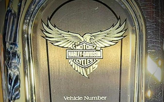 2018 Harley-Davidson® FLHTKSE - CVO™ Limited 115th Anniversary