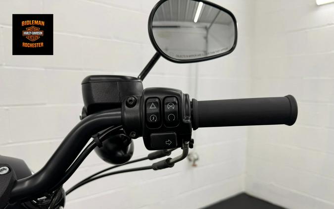 2022 Harley-Davidson Iron 883™