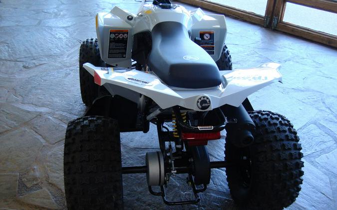 2024 Can-Am® Renegade 110 EFI