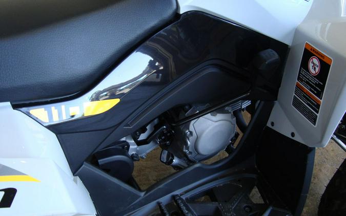 2024 Can-Am® Renegade 110 EFI