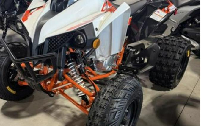 2026 Kayo Storm 300 EFI