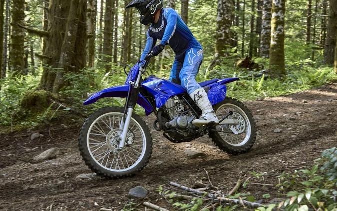 2027 Yamaha TT-R230 Team Yamaha Blue - 003362