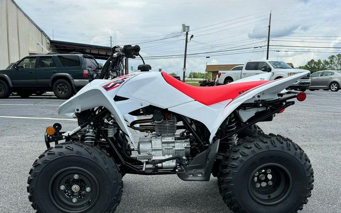 2023 Honda TRX 250X