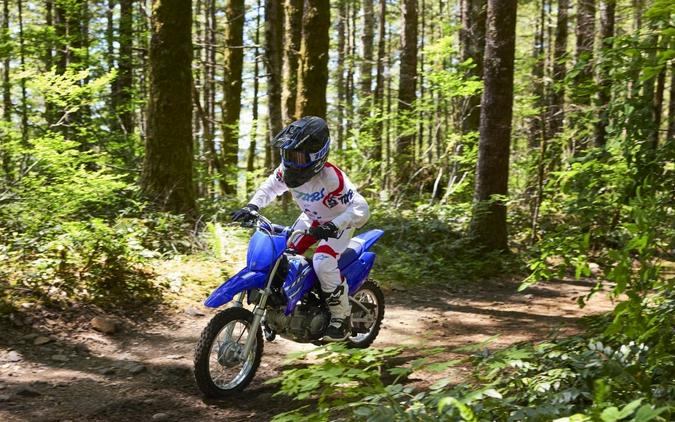 2026 Yamaha Motor Corp., USA TT-R110E