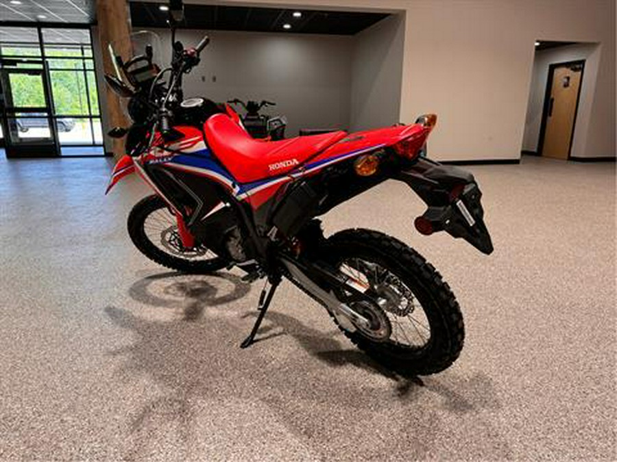 2024 Honda CRF300L Rally