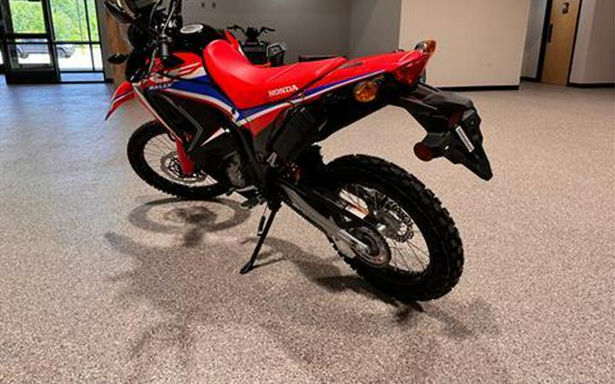 2024 Honda CRF300L Rally