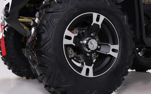 2026 Denago Powersports Freelander 300FI