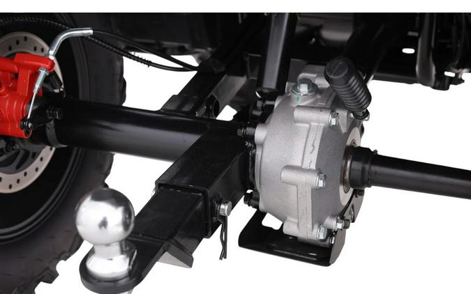 2026 Denago Powersports Freelander 300FI