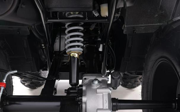 2026 Denago Powersports Freelander 300FI