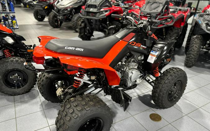 2024 Can-Am® DS 250