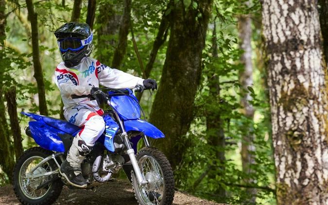 2026 Yamaha Motor Corp., USA TT-R110E