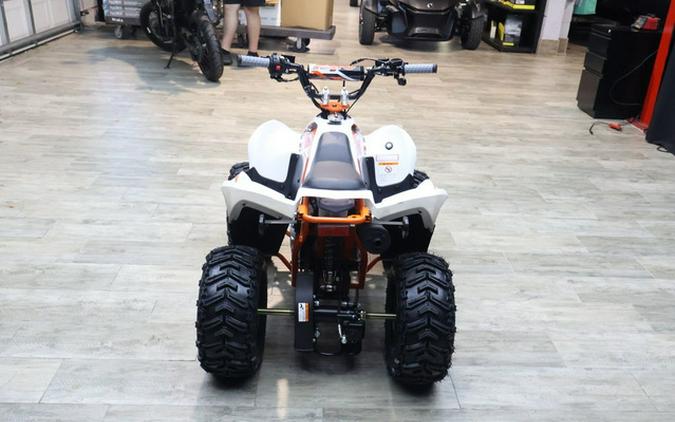 2026 Kayo Fox / Storm 70