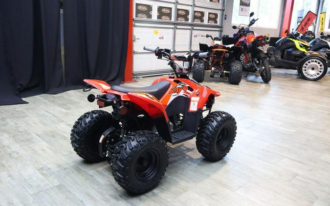 2026 Kayo Fox / Storm 70