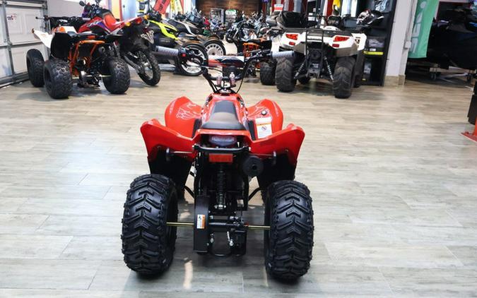 2026 Kayo Fox / Storm 70