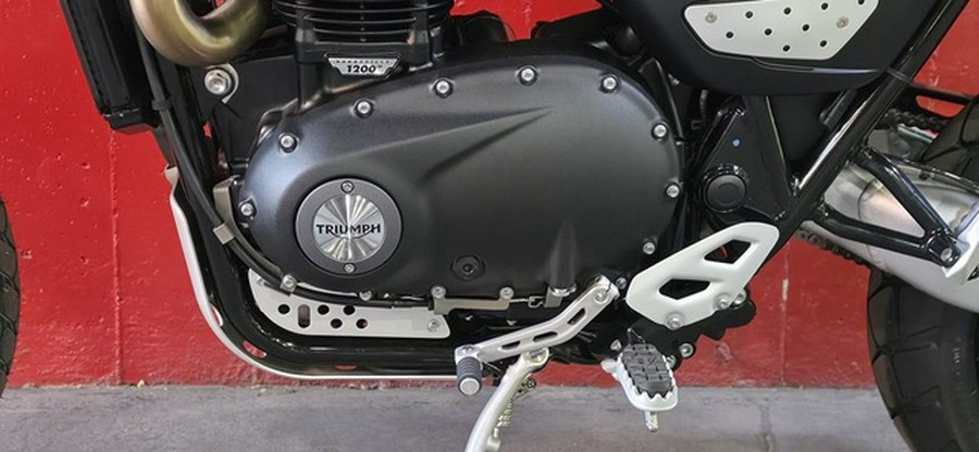 2026 Triumph Scrambler 1200 XE Matte Khaki Green