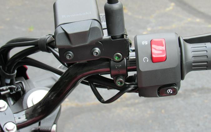 2026 Kawasaki Eliminator® SE ABS