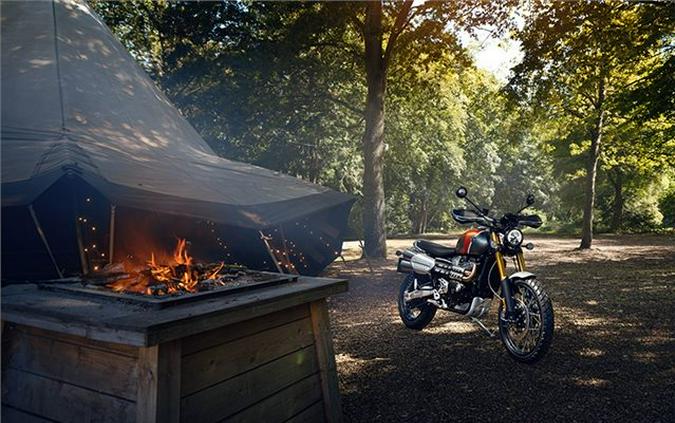 2022 Triumph Scrambler 1200 XE Gold Line