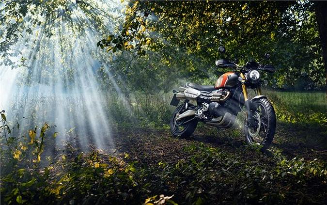 2022 Triumph Scrambler 1200 XE Gold Line