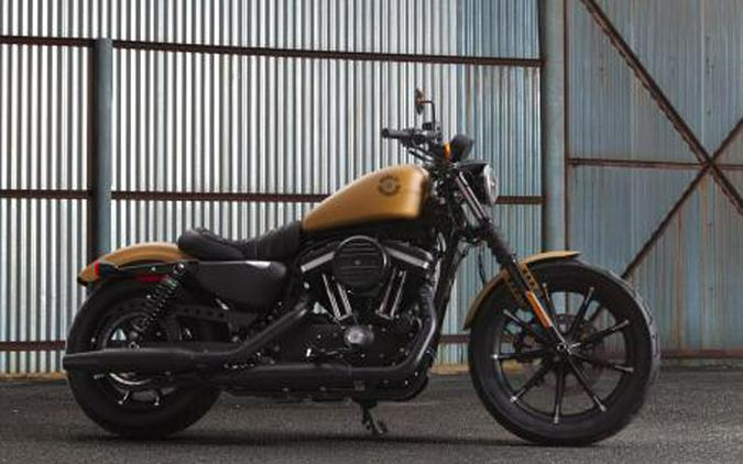 2019 Harley-Davidson® SPORTSTER 883 IRON