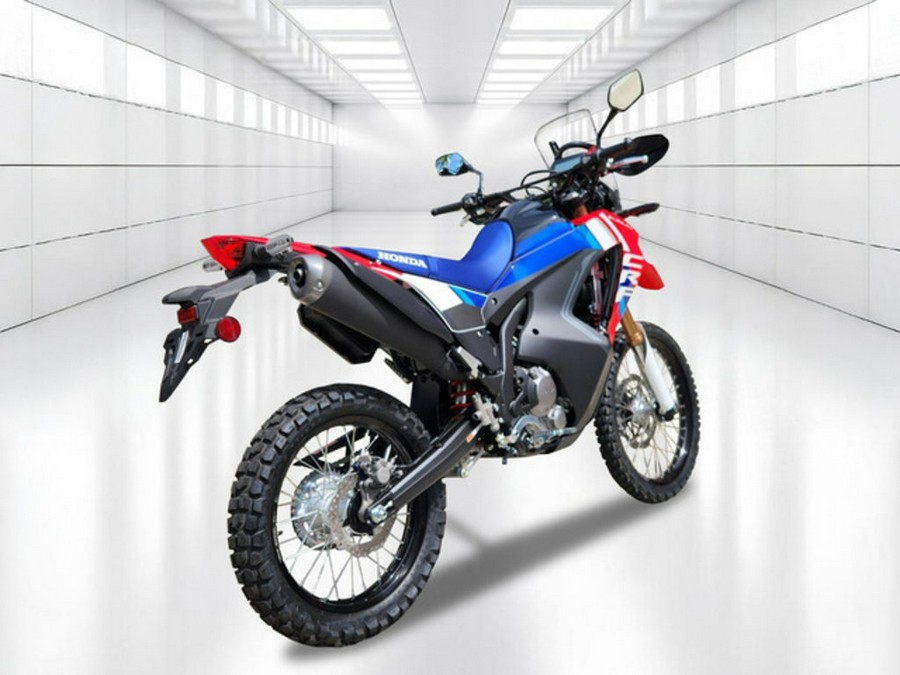 2025 Honda CRF® 300L Rally
