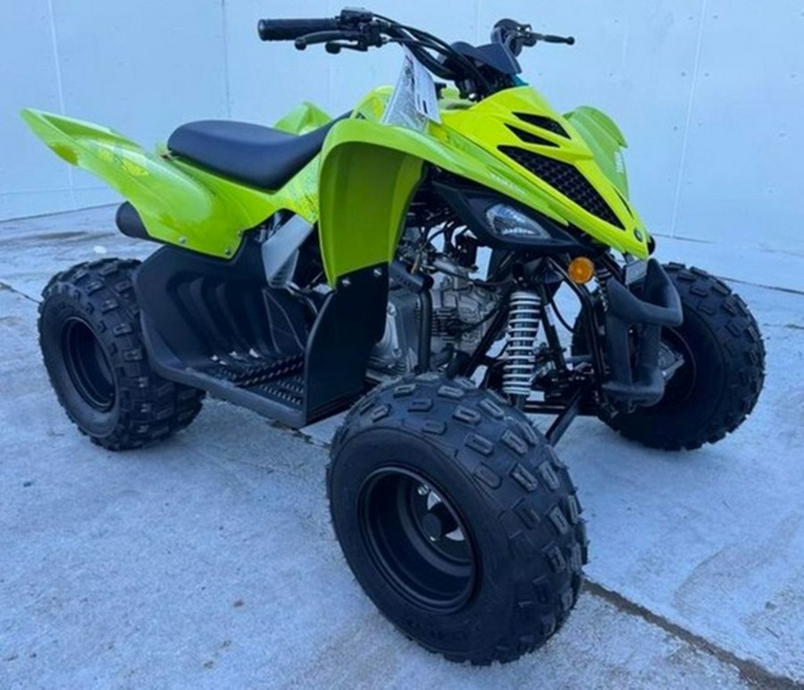 2026 Yamaha Raptor 110