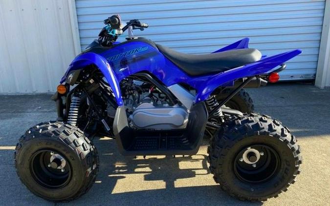 2026 Yamaha Raptor 110
