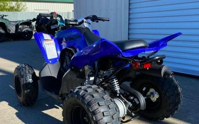 2026 Yamaha Raptor 110