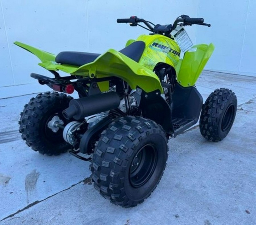 2026 Yamaha Raptor 110