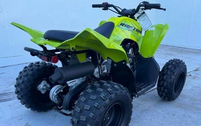 2026 Yamaha Raptor 110