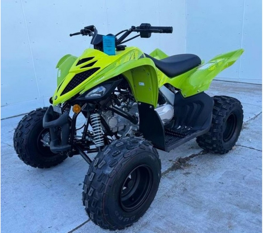 2026 Yamaha Raptor 110