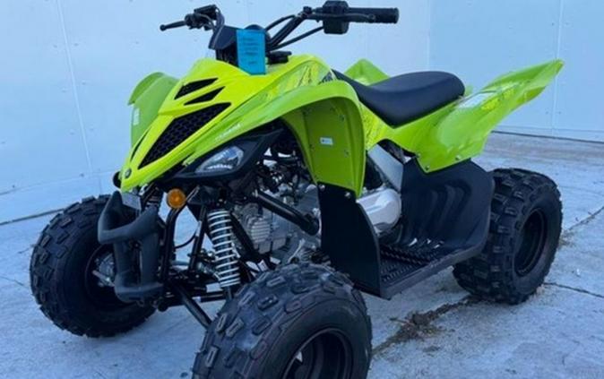 2026 Yamaha Raptor 110