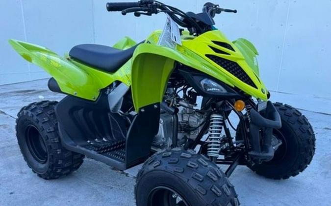 2026 Yamaha Raptor 110