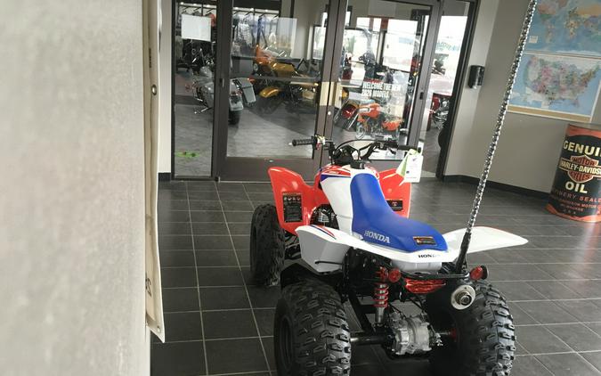 TRX250XT 2026 TRX250X