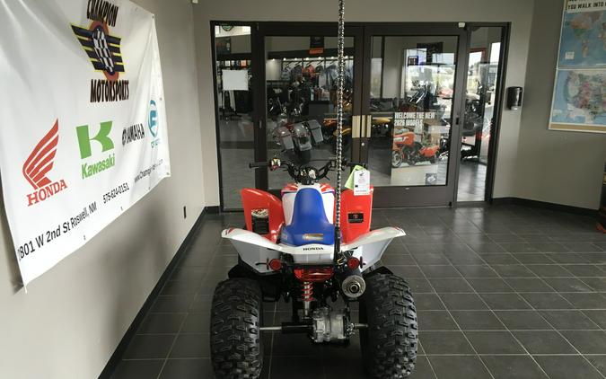 TRX250XT 2026 TRX250X