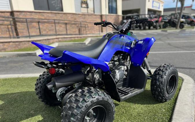 2024 Yamaha Raptor 110