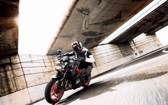 2019 Kawasaki Z900