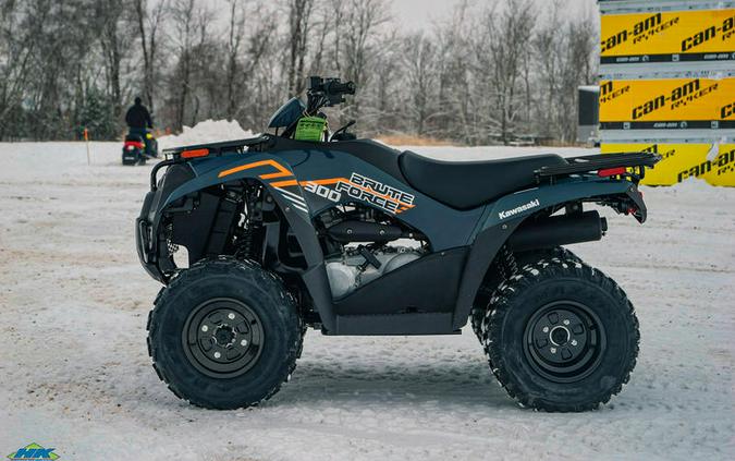 2024 Kawasaki Brute Force® 300