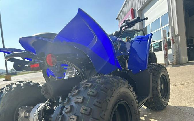 2024 Yamaha YFZ50