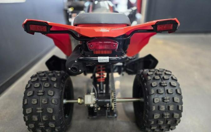 2026 Can-Am DS 250